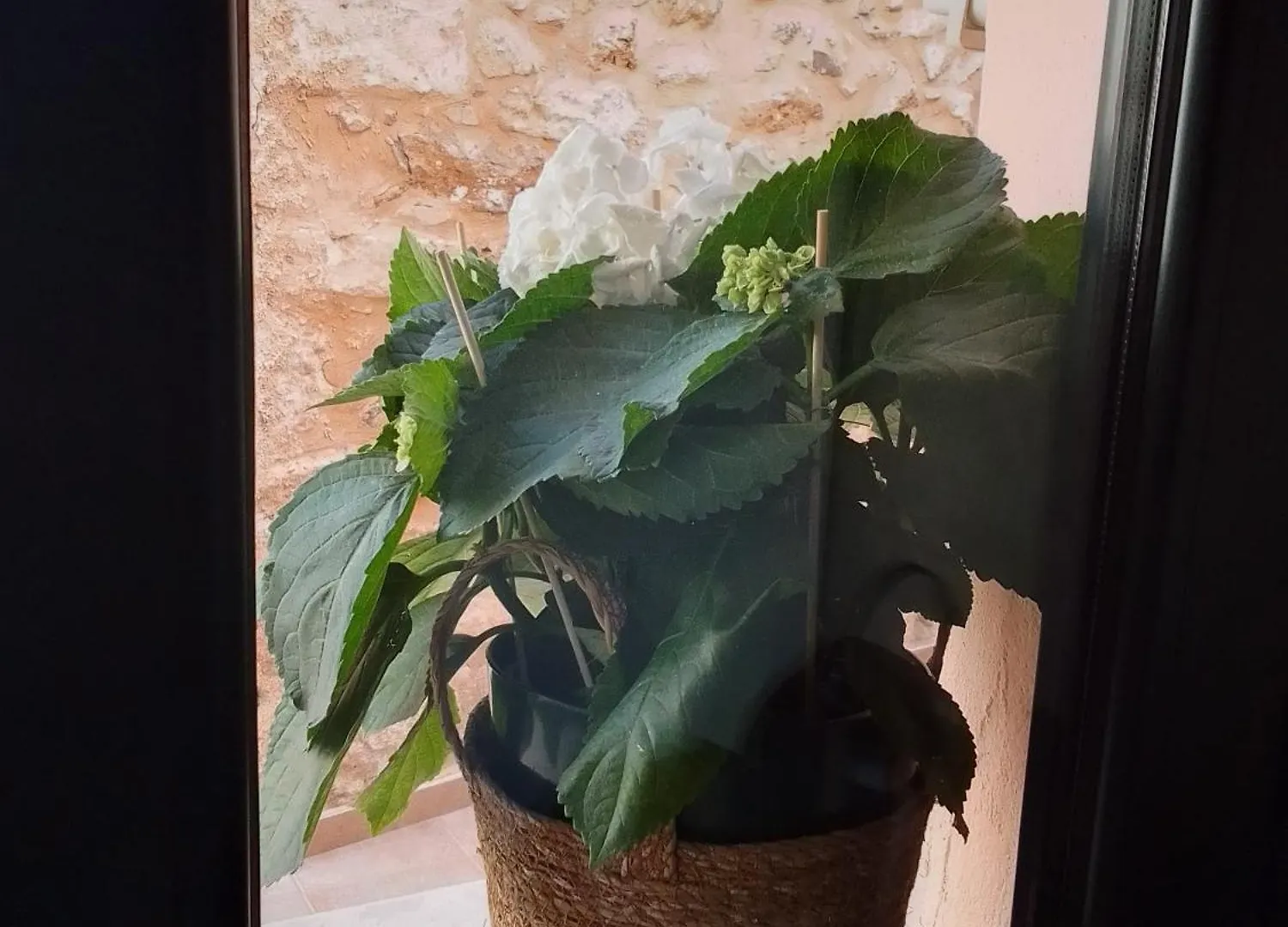 Creta Home In Heraklion Center 1 יוון